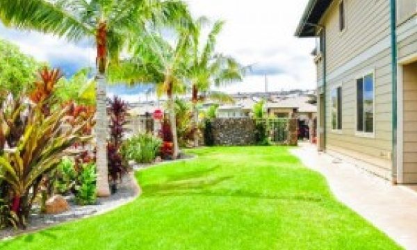 Unveiling the Hidden Gems: Kapolei Real Estate