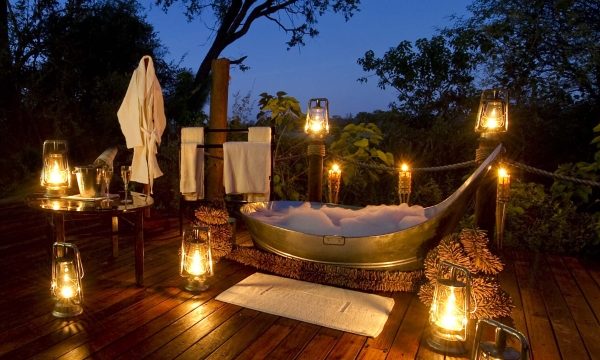 A Journey into Opulence: Unveiling the Secrets of a Luxury Safari