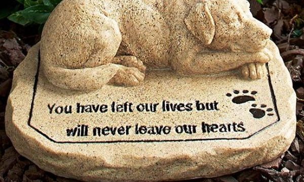 Forever in Our Hearts: Honoring Beloved Pets through Memorials