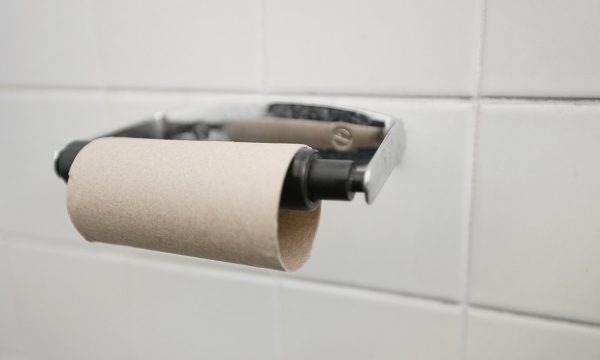 The Art of Wiping: An Insight into the Evolution of Toilet Paper