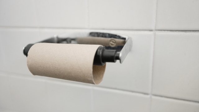 The Art of Wiping: An Insight into the Evolution of Toilet Paper