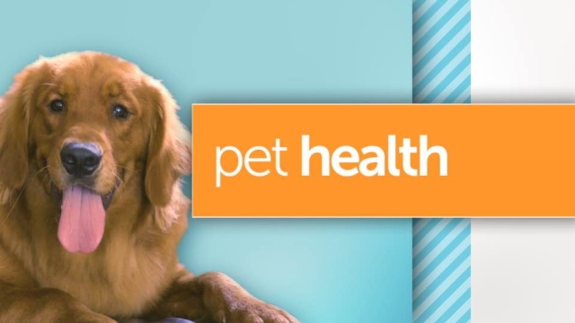 Unleashing the Secrets to Optimal Pet Health