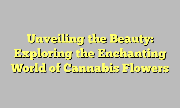 Unveiling the Beauty: Exploring the Enchanting World of Cannabis Flowers