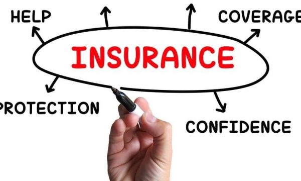 Insuring Your Business: A Comprehensive Guide to Workers Compensation, Business, and D&O Insurance