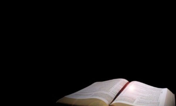 Unveiling Divine Wisdom: A Journey through Bible Study