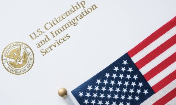 Navigating the Immigration Maze: Understanding the Ins and Outs of Immigration Law