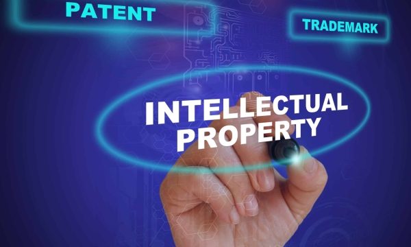 Unveiling the Value: Navigating the World of Intellectual Property