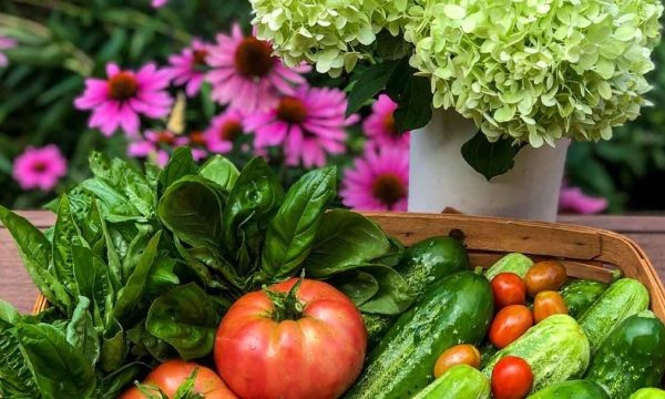 Blooming with Green Fingers: Mastering the Art of Organic Gardening