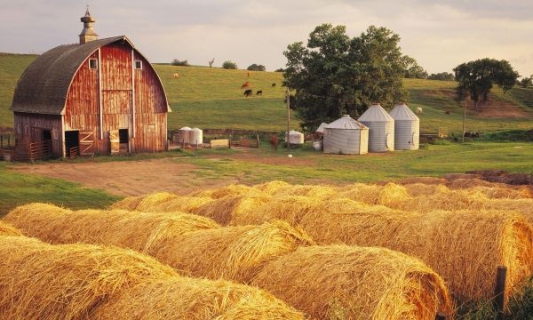 A Bounty from the Seaside: Exploring the Coastal Farming Paradise