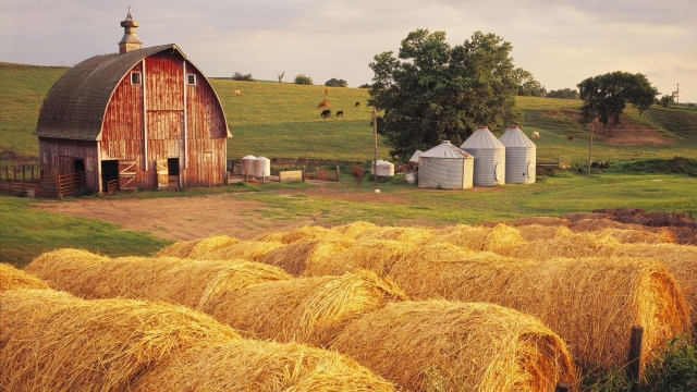 A Bounty from the Seaside: Exploring the Coastal Farming Paradise