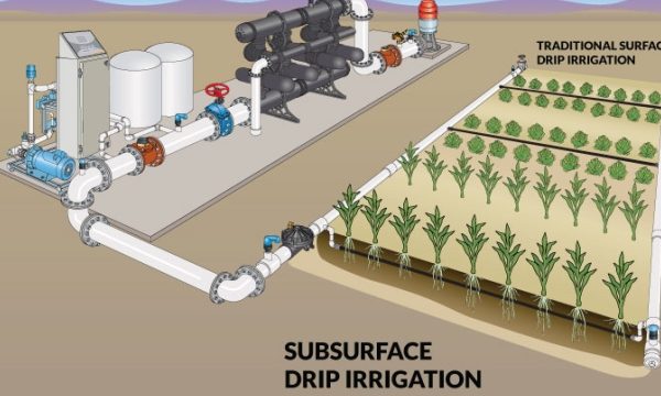 Sprinkling Success: Unveiling the Expertise of Irrigation Installers