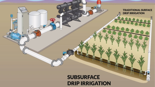 Sprinkling Success: Unveiling the Expertise of Irrigation Installers