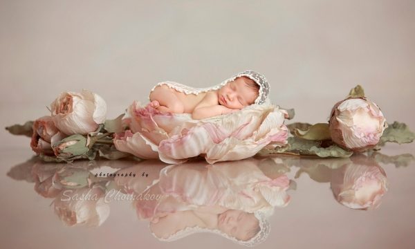 Cradling the Innocence: Capturing Newborn Moments