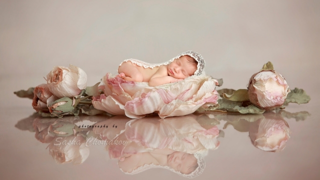 Cradling the Innocence: Capturing Newborn Moments