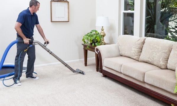 Revitalize Your Space: The Ultimate Guide to Carpet Cleaning Tips