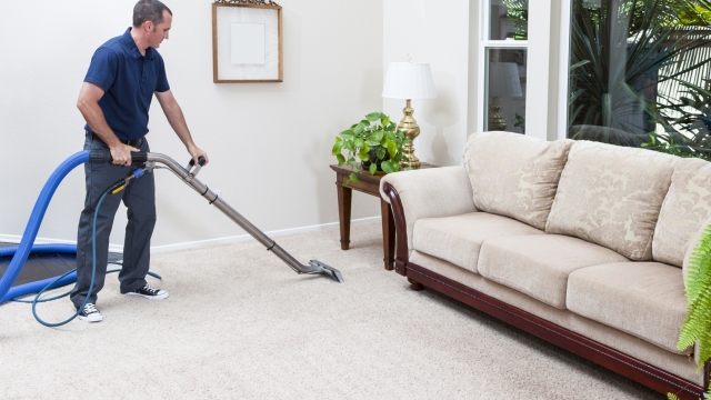 Revitalize Your Space: The Ultimate Guide to Carpet Cleaning Tips
