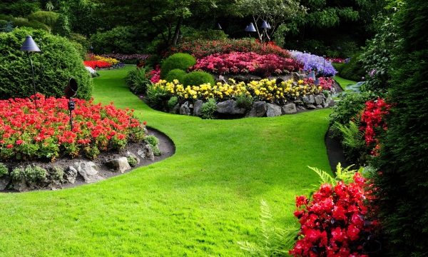 Secrets to Transforming Your Lawn into a Landscaping Masterpiece