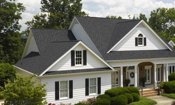 Guarding Your Home: The Ultimate Guide to Siding, Roofing, Gutters, Guards, and Windows