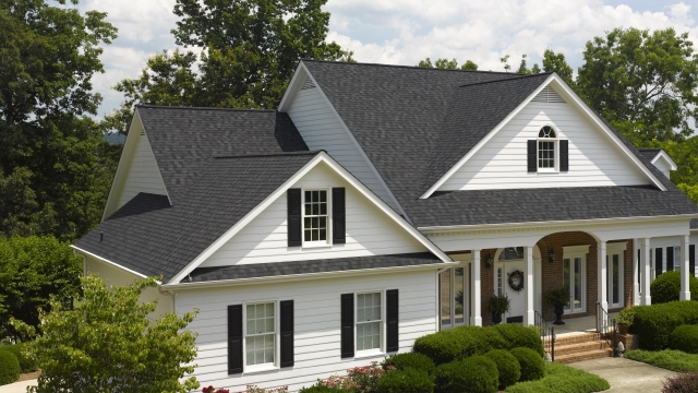 Guarding Your Home: The Ultimate Guide to Siding, Roofing, Gutters, Guards, and Windows