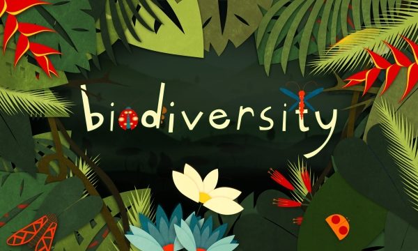 Thriving Together: The Beauty of Ecology and Biodiversity