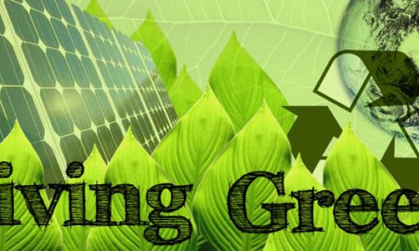 Sustainable Solutions: Embracing the Green Lifestyle