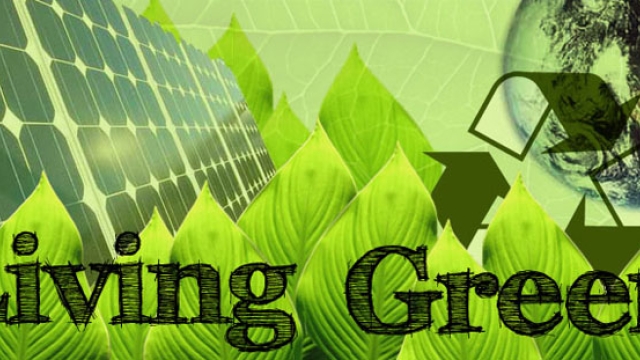 Sustainable Solutions: Embracing the Green Lifestyle