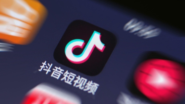Unveiling the TikTok Trends: A Closer Look into the Viral Phenomenon