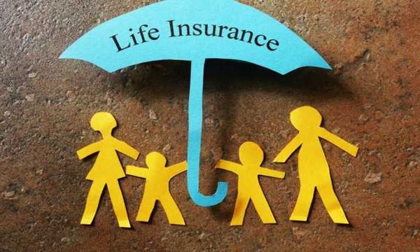 The Ins and Outs of Insurance: Navigating Coverage and Claims