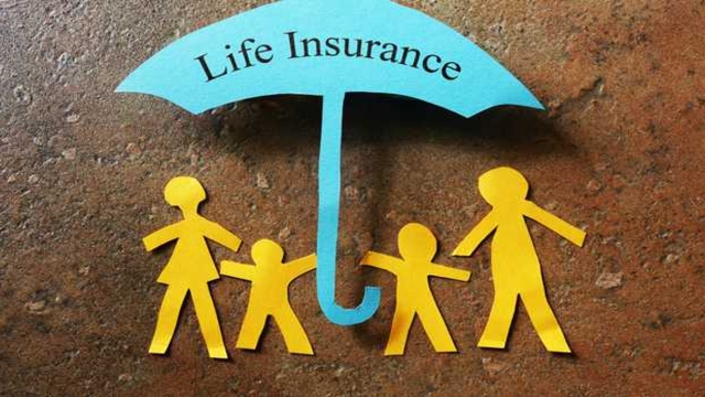 The Ins and Outs of Insurance: Navigating Coverage and Claims