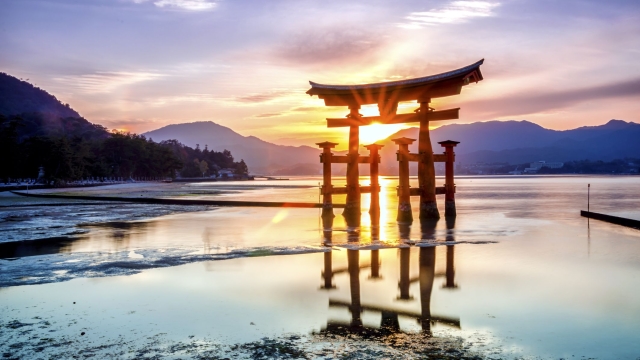 Whispers of the Ancients: Journey Through Japan’s Enchanting Shinto Shrines