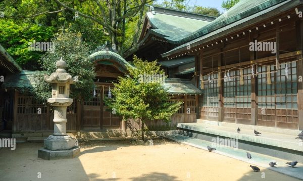 Whispers of the Kami: Exploring the Enigmatic Beauty of Shinto Shrines in Japan