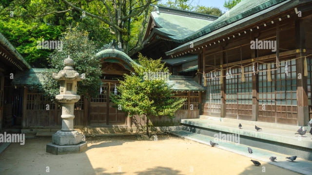 Whispers of the Kami: Exploring the Enigmatic Beauty of Shinto Shrines in Japan