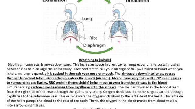 Discovering the Future of Breathing: Innovative Inhalation Devices Revolutionizing Health